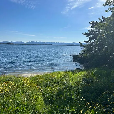 アパート With High Standard