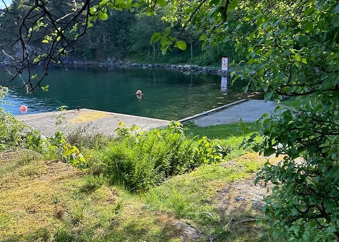 With High Standard *